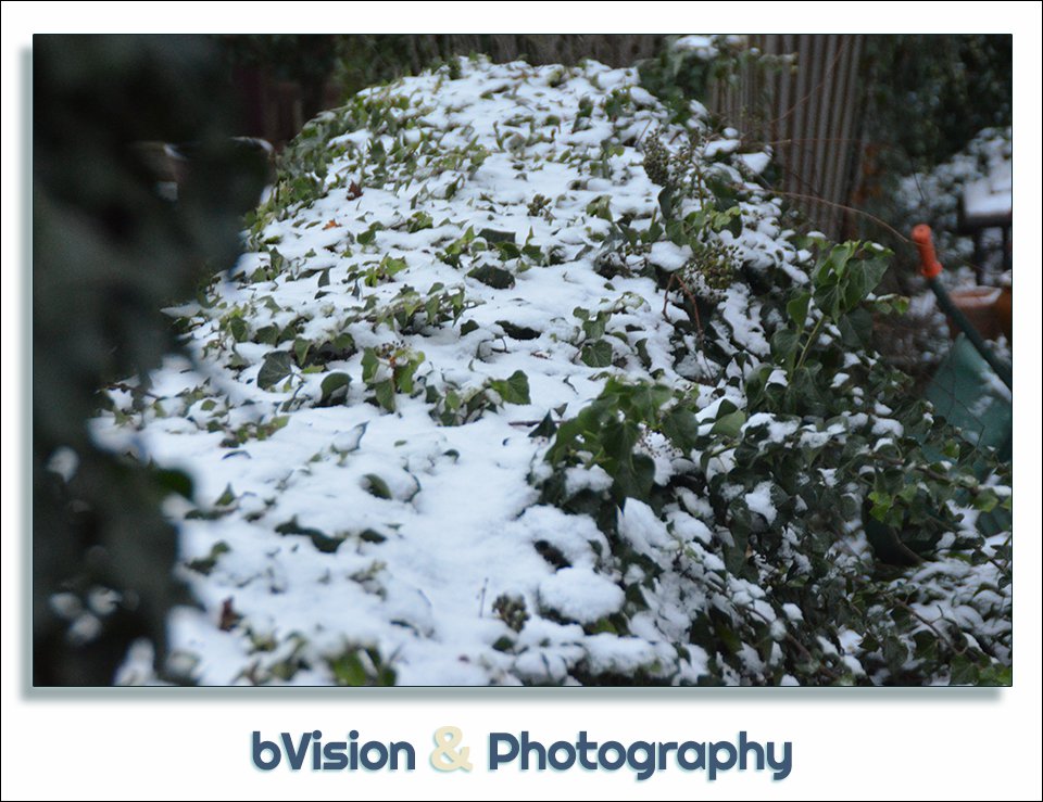 bVision&Photography